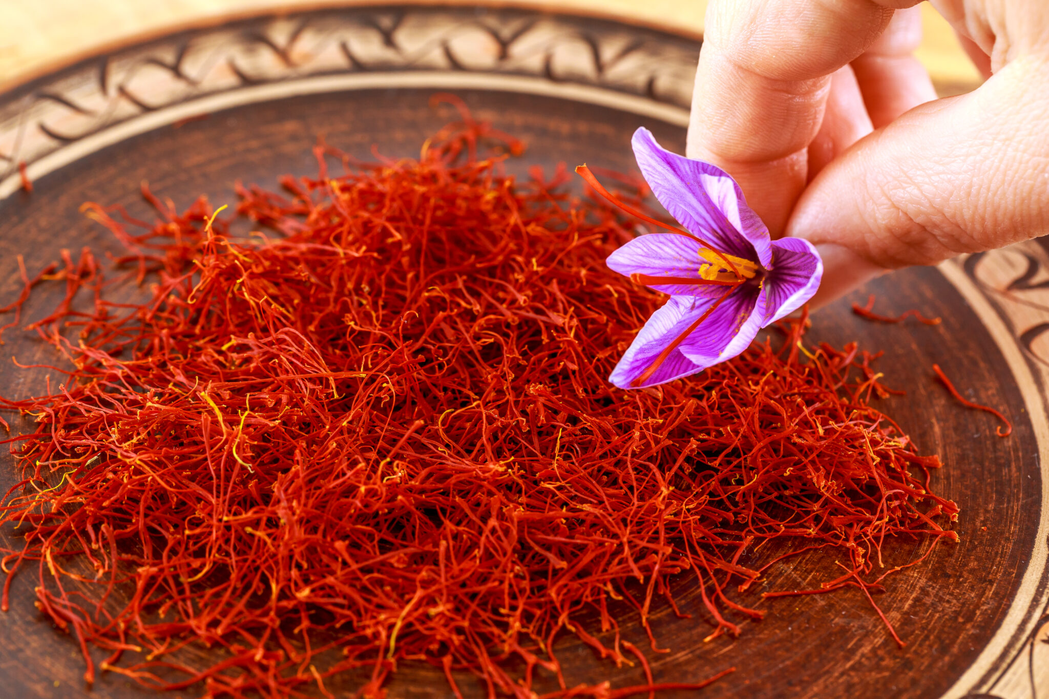 Dried saffron with a flower in a patterned ceramic plate. Saffron spice used in food and traditional herbal medicine